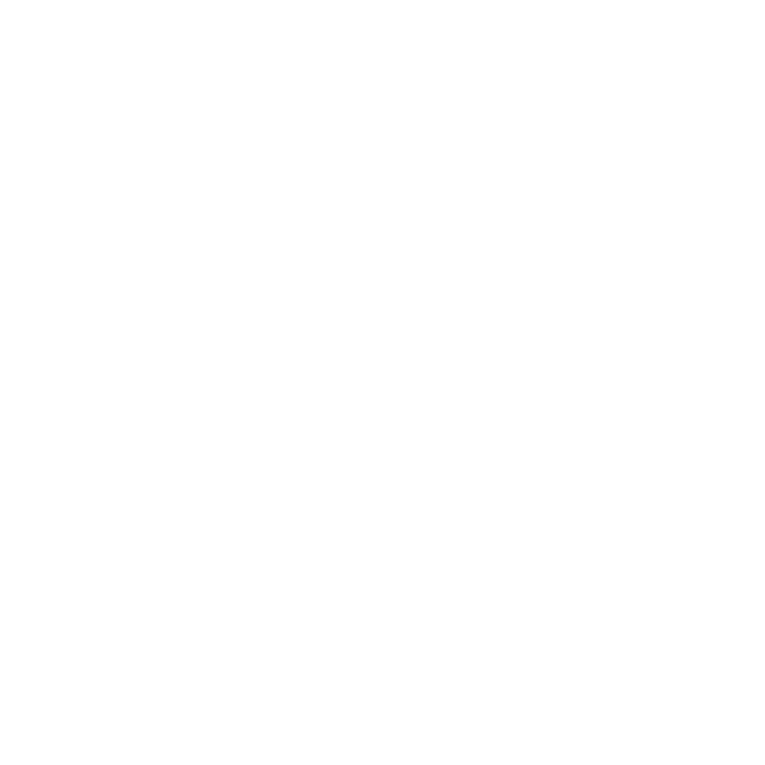 4 Ways Icons-010-white