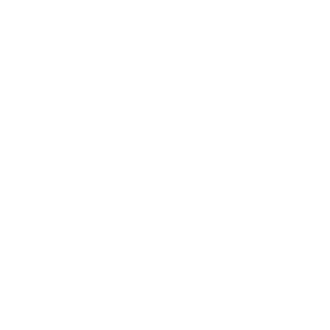 4 Ways Icons-02-white