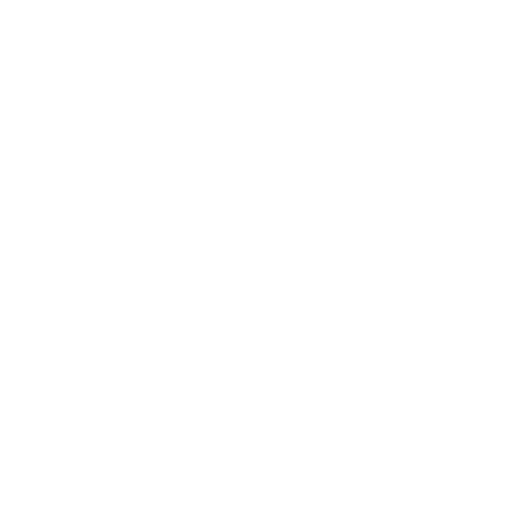 4 Ways Icons-04-white